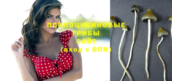 марки nbome Алексеевка